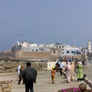 Essaouira (23)